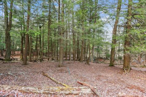 404 Black Bear Trail Davis WV 26260