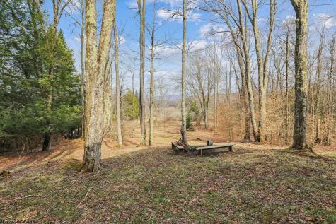 404 Black Bear Trail Davis WV 26260