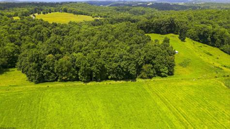 1586 Vannoys Mill Road Belington WV 26250
