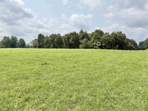 1586 Vannoys Mill Road Belington WV 26250