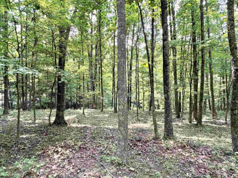 1586 Vannoys Mill Road Belington WV 26250