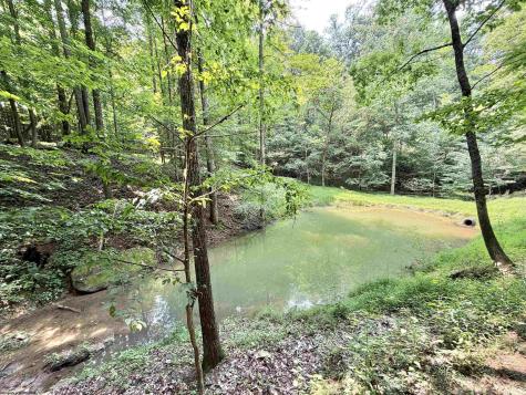 1586 Vannoys Mill Road Belington WV 26250
