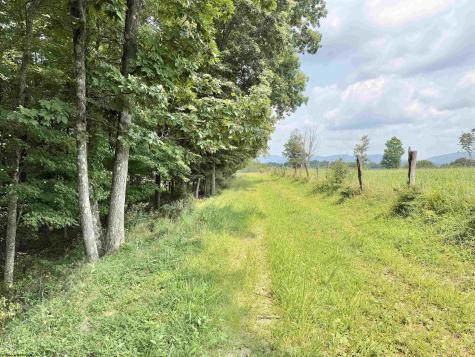 1586 Vannoys Mill Road Belington WV 26250