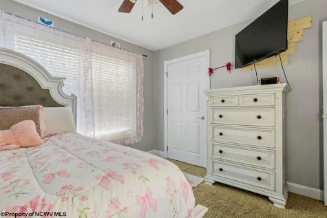 8 Coolview Lane Bridgeport WV 26330