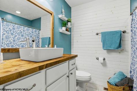 8 Coolview Lane Bridgeport WV 26330
