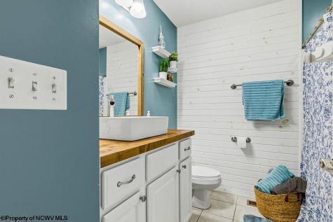 8 Coolview Lane Bridgeport WV 26330