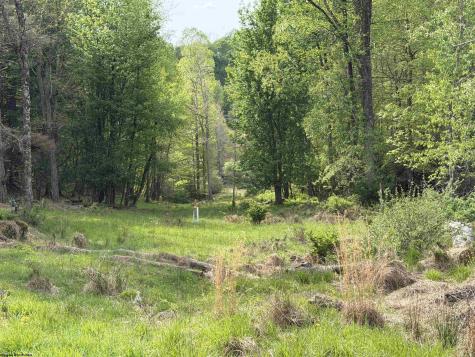 2494 Seng Run Road French Creek WV 26218