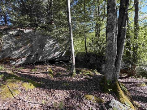 2494 Seng Run Road French Creek WV 26218