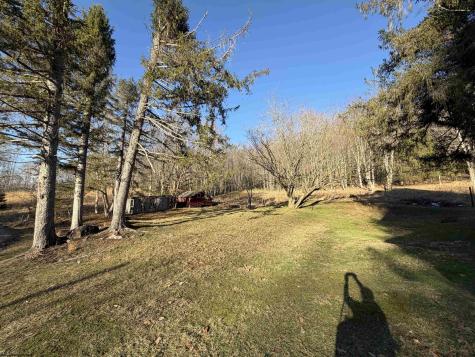 2494 Seng Run Road French Creek WV 26218