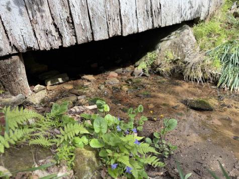 2494 Seng Run Road French Creek WV 26218
