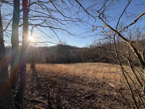 2494 Seng Run Road French Creek WV 26218