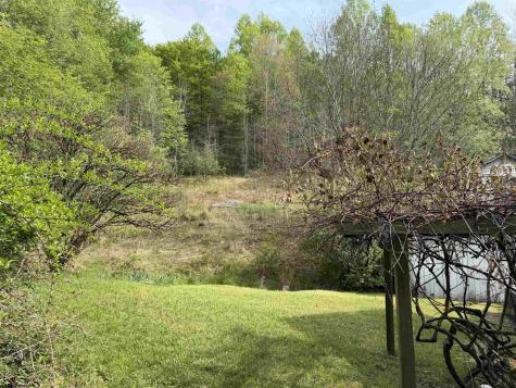 2494 Seng Run Road French Creek WV 26218