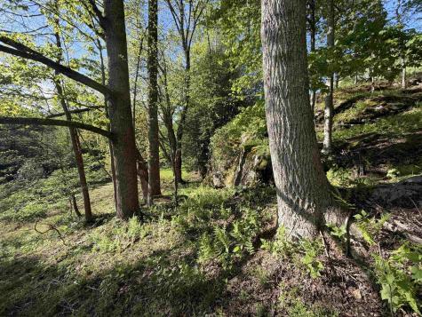 2494 Seng Run Road French Creek WV 26218