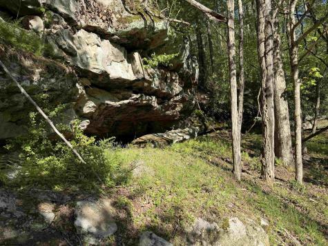 2494 Seng Run Road French Creek WV 26218