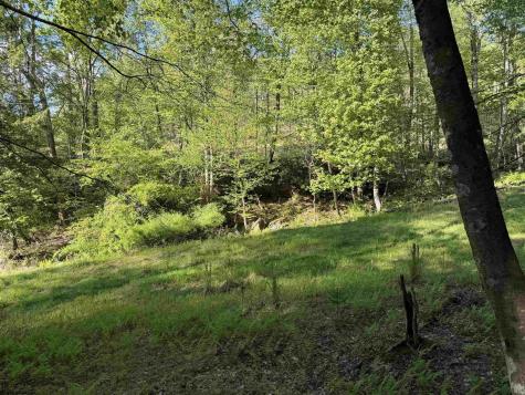 2494 Seng Run Road French Creek WV 26218