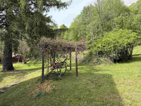 2494 Seng Run Road French Creek WV 26218