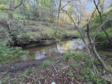 2494 Seng Run Road French Creek WV 26218