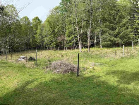 2494 Seng Run Road French Creek WV 26218