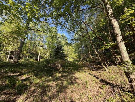 2494 Seng Run Road French Creek WV 26218