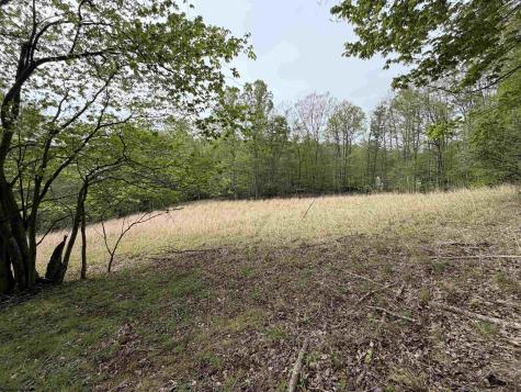 2494 Seng Run Road French Creek WV 26218