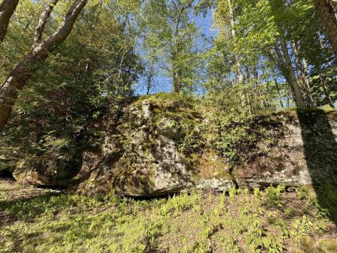2494 Seng Run Road French Creek WV 26218