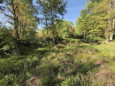 2494 Seng Run Road French Creek WV 26218