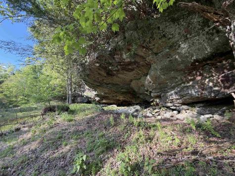 2494 Seng Run Road French Creek WV 26218