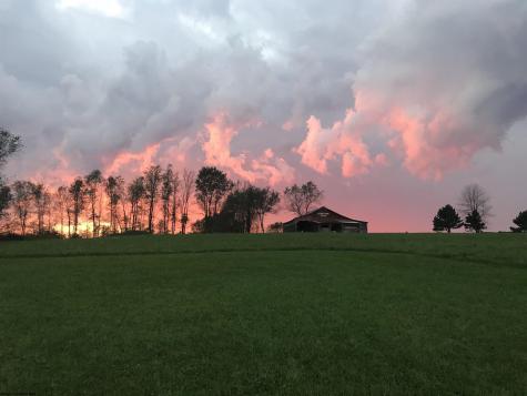 2393 Stony Run Road Independence WV 26374