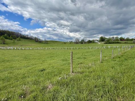 2393 Stony Run Road Independence WV 26374