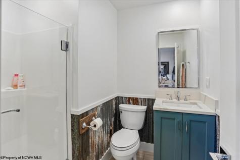459 Lakeview Road Davis WV 26260
