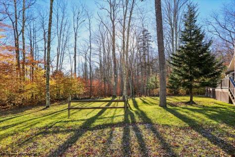 459 Lakeview Road Davis WV 26260