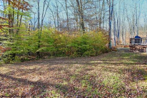 459 Lakeview Road Davis WV 26260