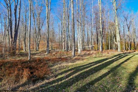 459 Lakeview Road Davis WV 26260