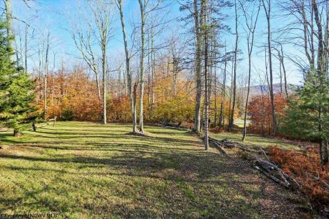 459 Lakeview Road Davis WV 26260