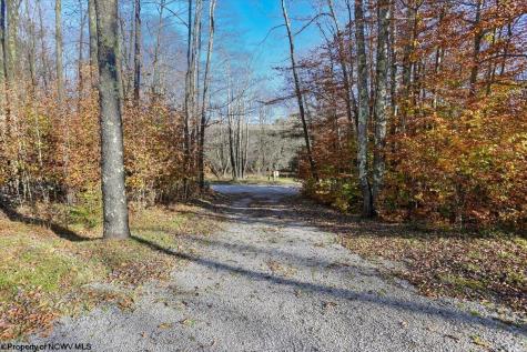 459 Lakeview Road Davis WV 26260