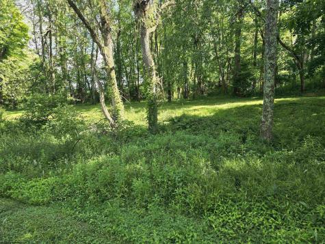 10 W Herring Road Masontown WV 26542