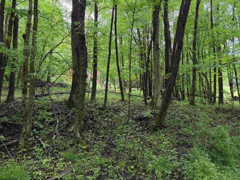 199 Whitetail Road Glady WV 26268