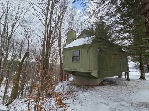 77 Wildflower Way Davis WV 26260