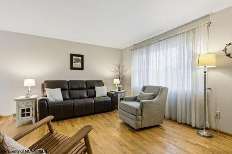 214 Cherry Street Bridgeport WV 26330