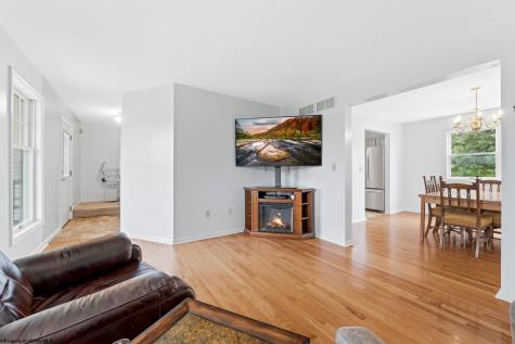 18679 N Preston Highway Bruceton Mills WV 26525