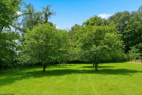 18679 N Preston Highway Bruceton Mills WV 26525