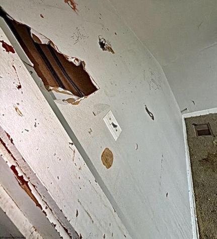 111 Romano Street Nutter Fort WV 26301