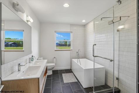 113 Starlight Lane Davis WV 26260