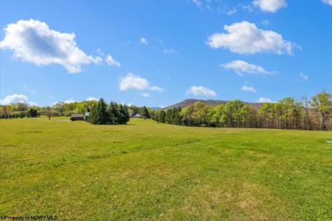 113 Starlight Lane Davis WV 26260