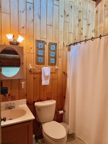 199 Maple Lane Davis WV 26260-000