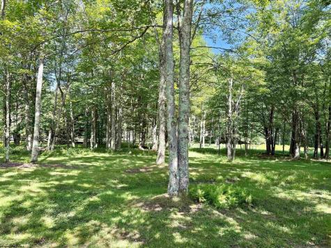 199 Maple Lane Davis WV 26260-000
