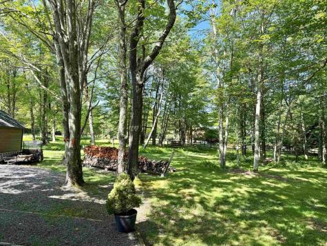199 Maple Lane Davis WV 26260-000