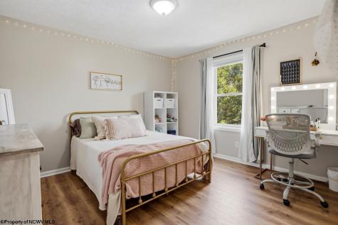 744 Collins Road Bruceton Mills WV 26525