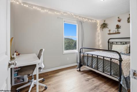 744 Collins Road Bruceton Mills WV 26525