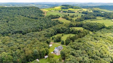 744 Collins Road Bruceton Mills WV 26525